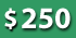 iscount web development rates for Non-Profit Companies