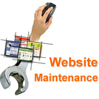Online Shopping Carts at low cost