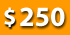 Professional Website Design Company & Development