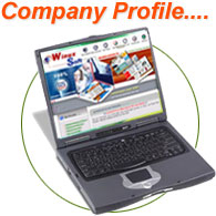 Local Web Design Company or Website Designer