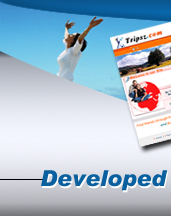 Web Development Company - USA Web Design Group